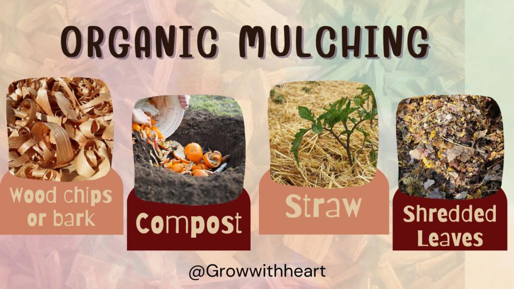 organic mulching 