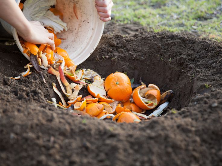 composting to improve soil fertility 