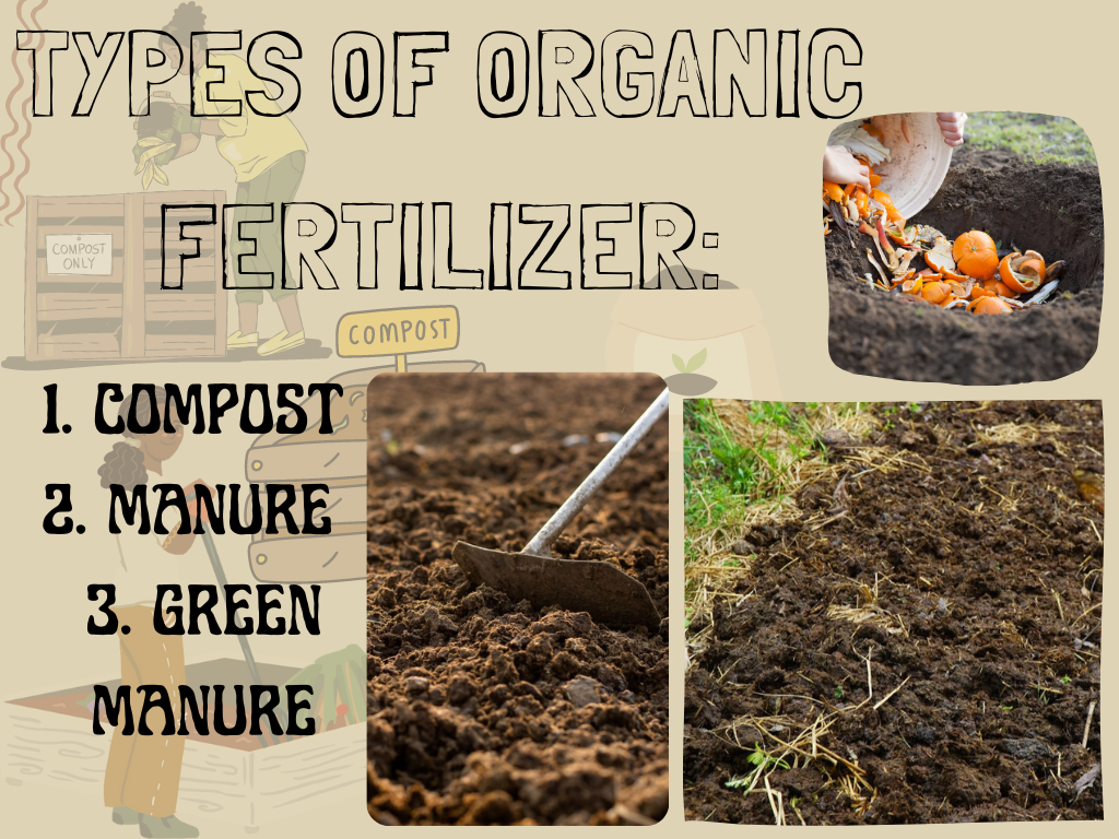 organic fertilzers 