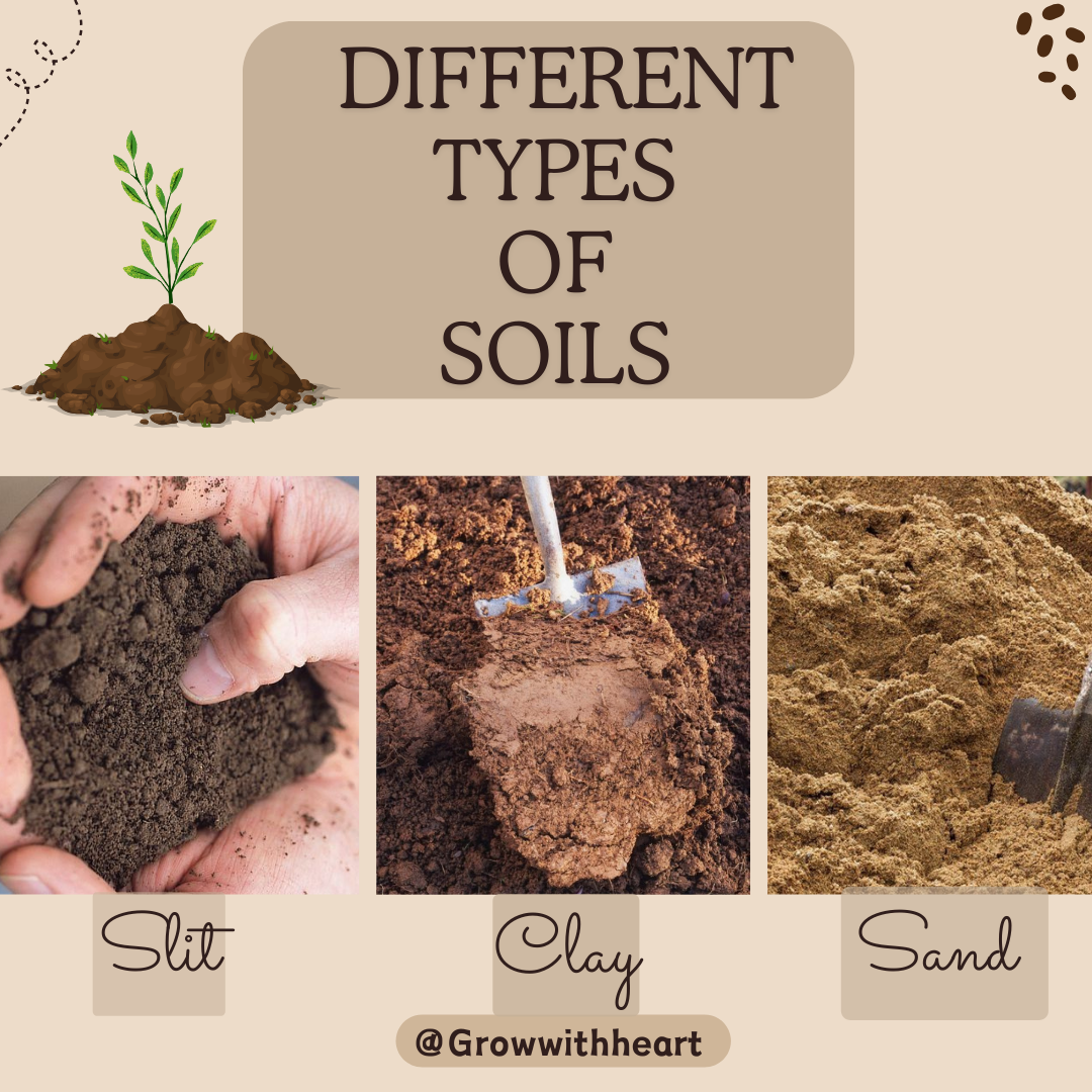 types of soil 