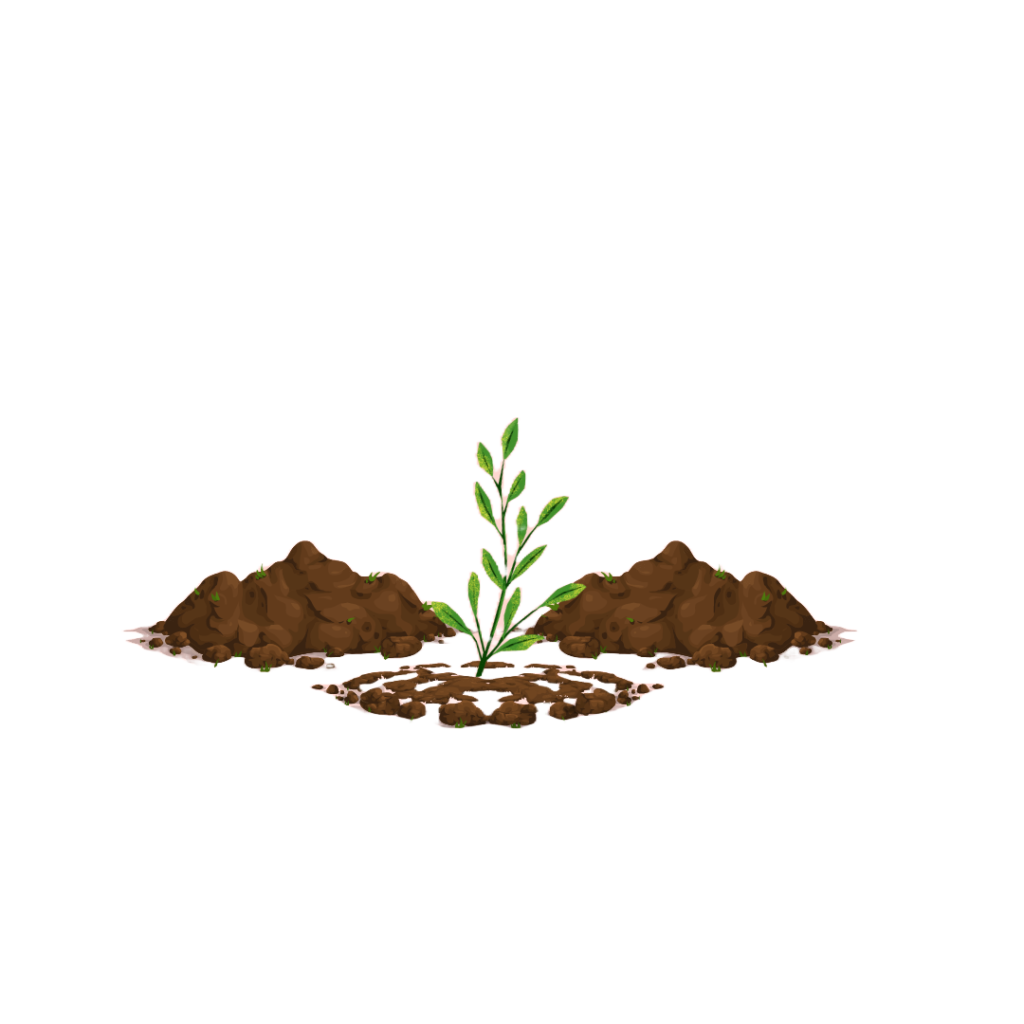 soil preapration 