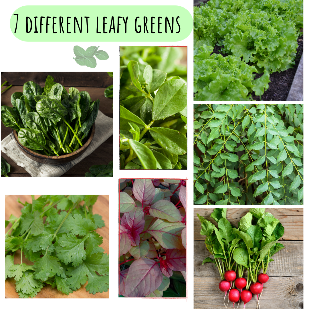 leafy greens 