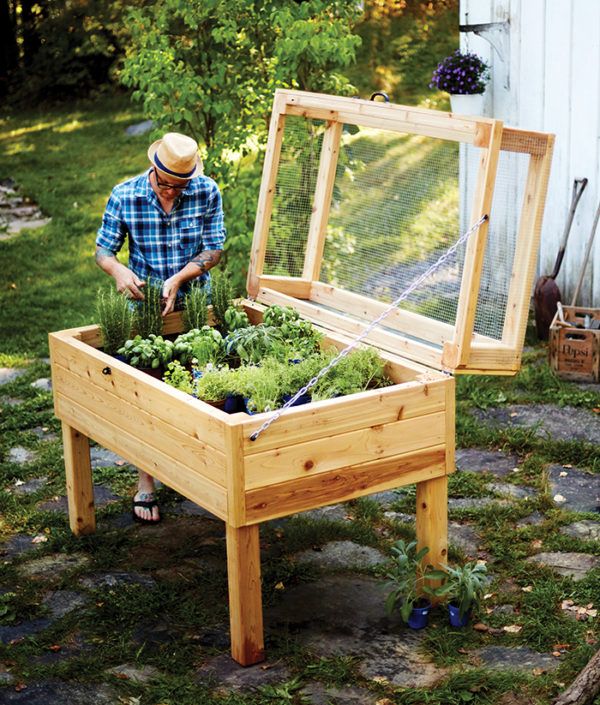 kitchen gardening sustainability