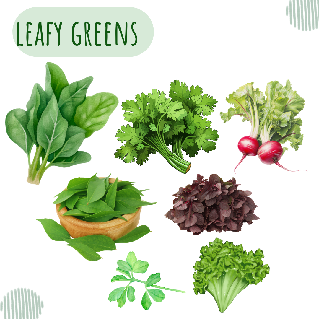 easy to grow leafy greens 