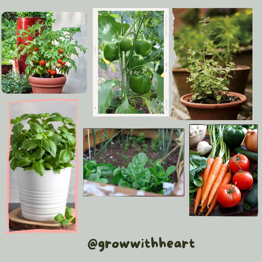 best vegetables and herbs