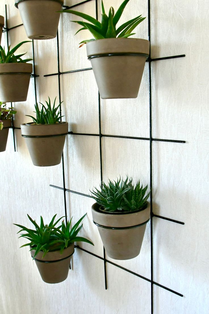 wall mounted vertical garden 