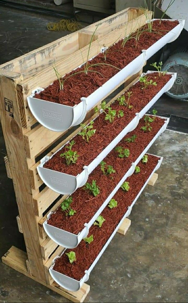 DIY Vertical Gardening Projects