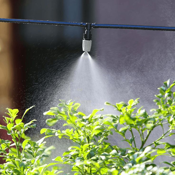 misting system watering 