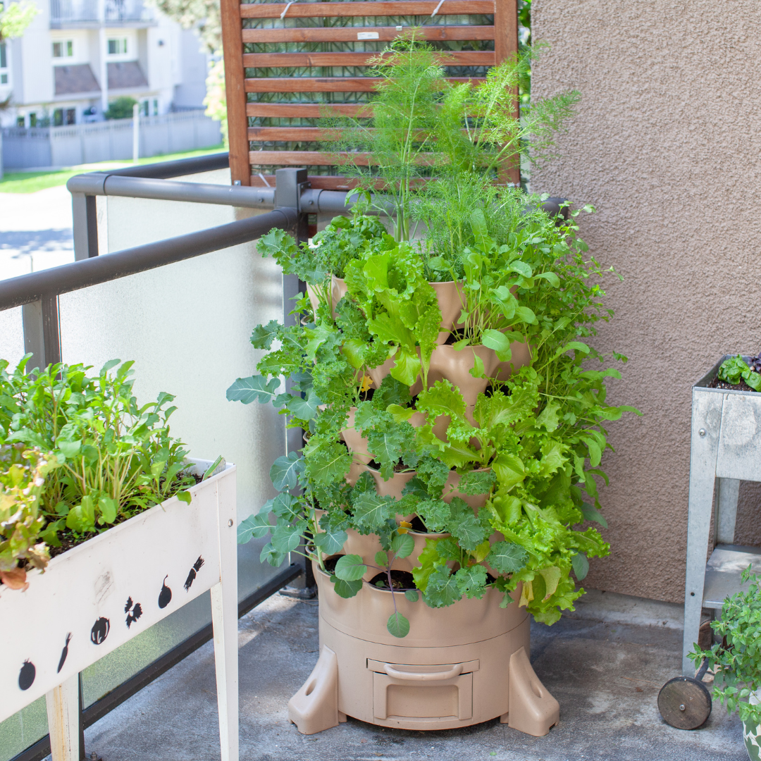 Small Space vertical gardening 