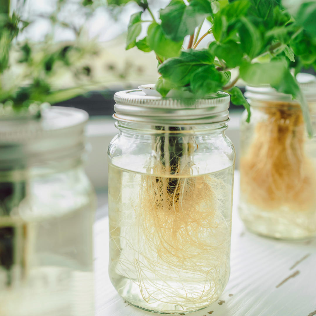 Hydroponics gardening space efficiency