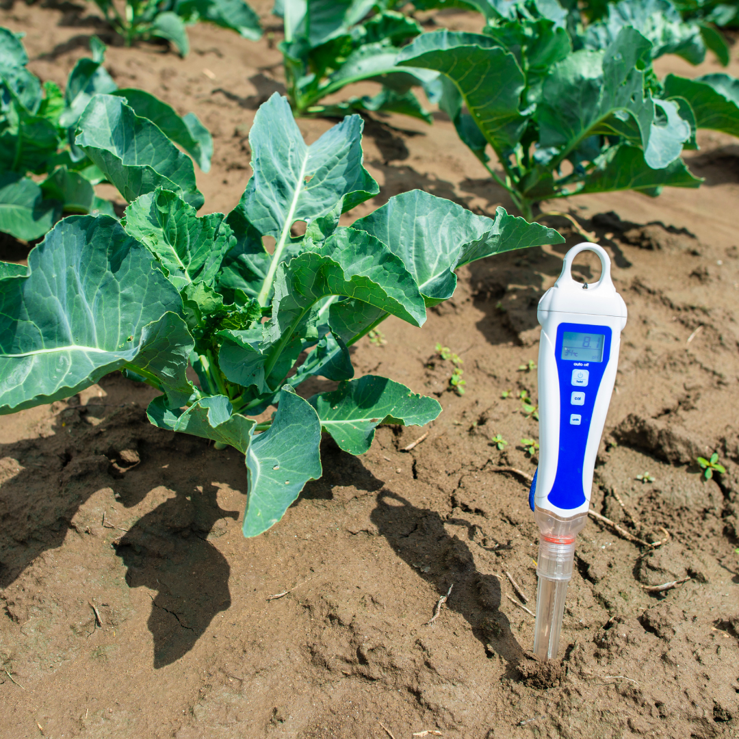 Imbalance in Soil pH