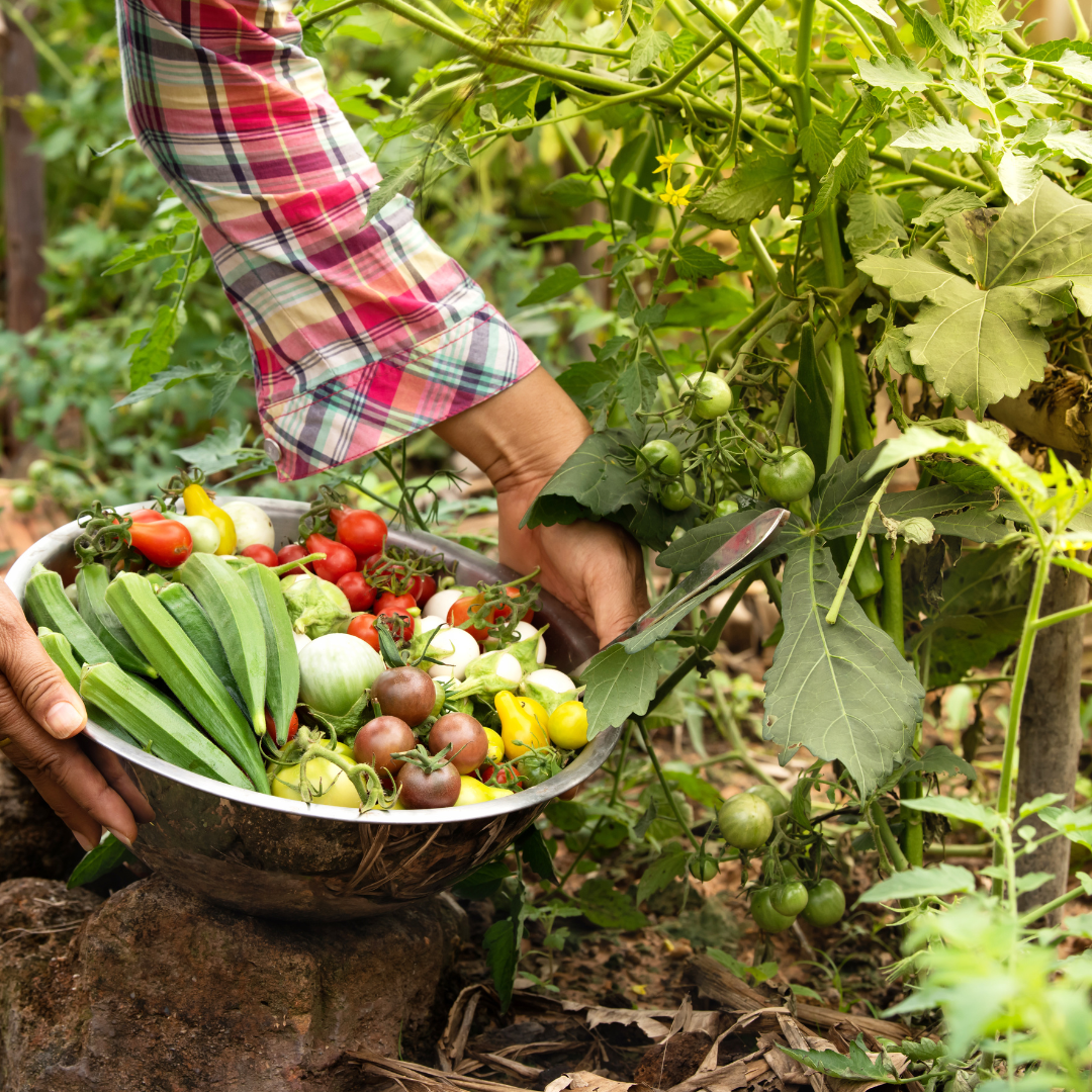 Organic Farming