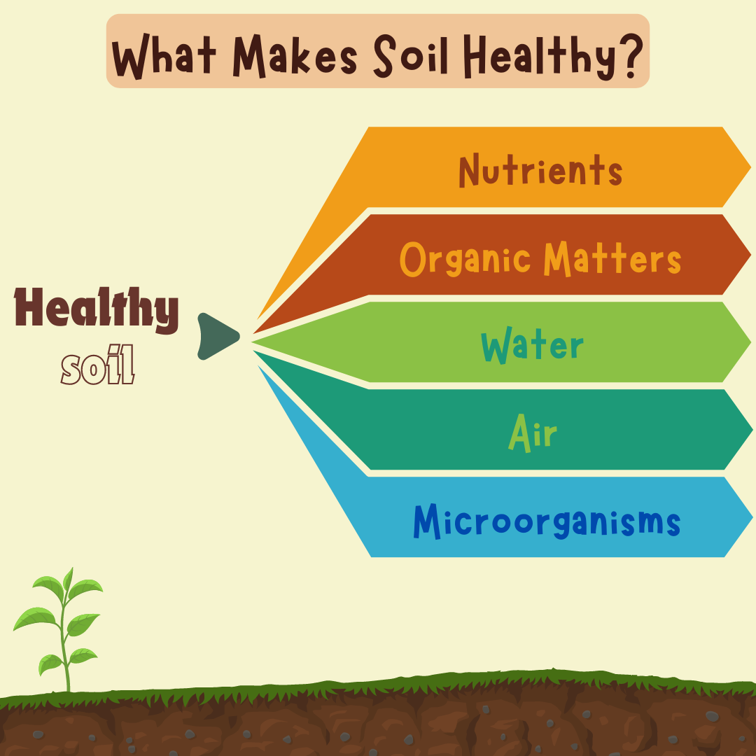 What Makes Soil Healthy?