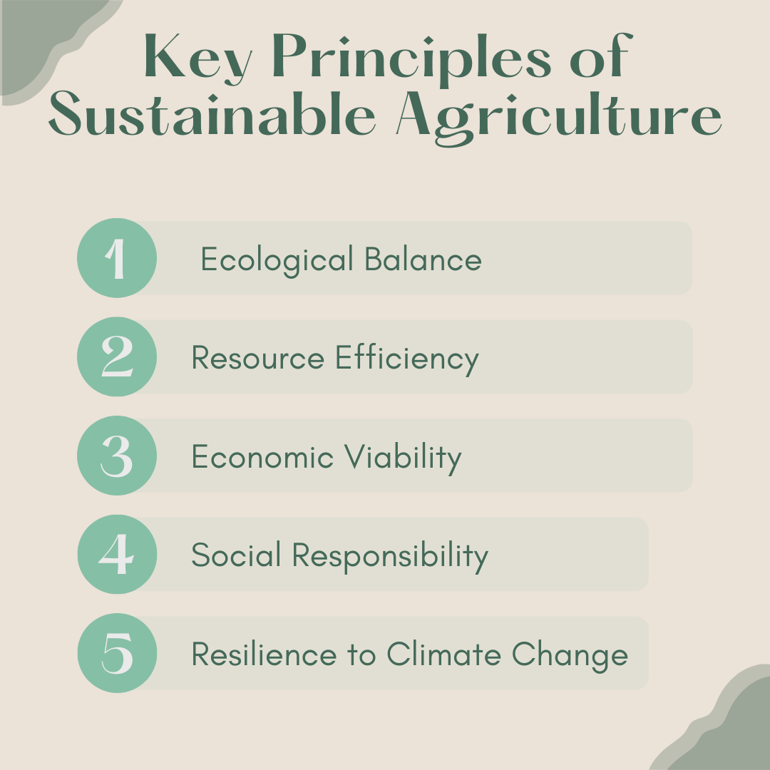 sustainable key principles 