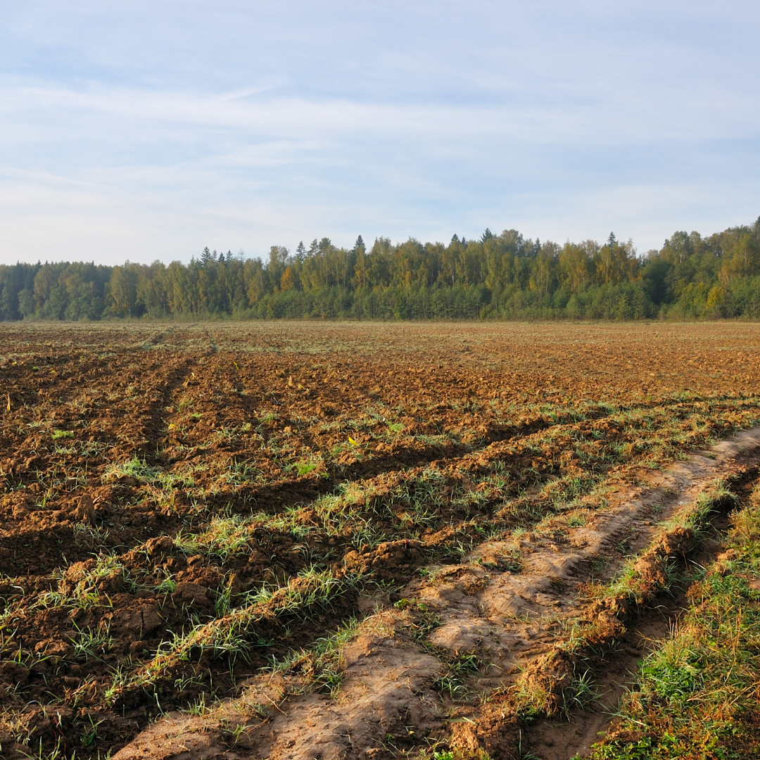 tillage for soil health