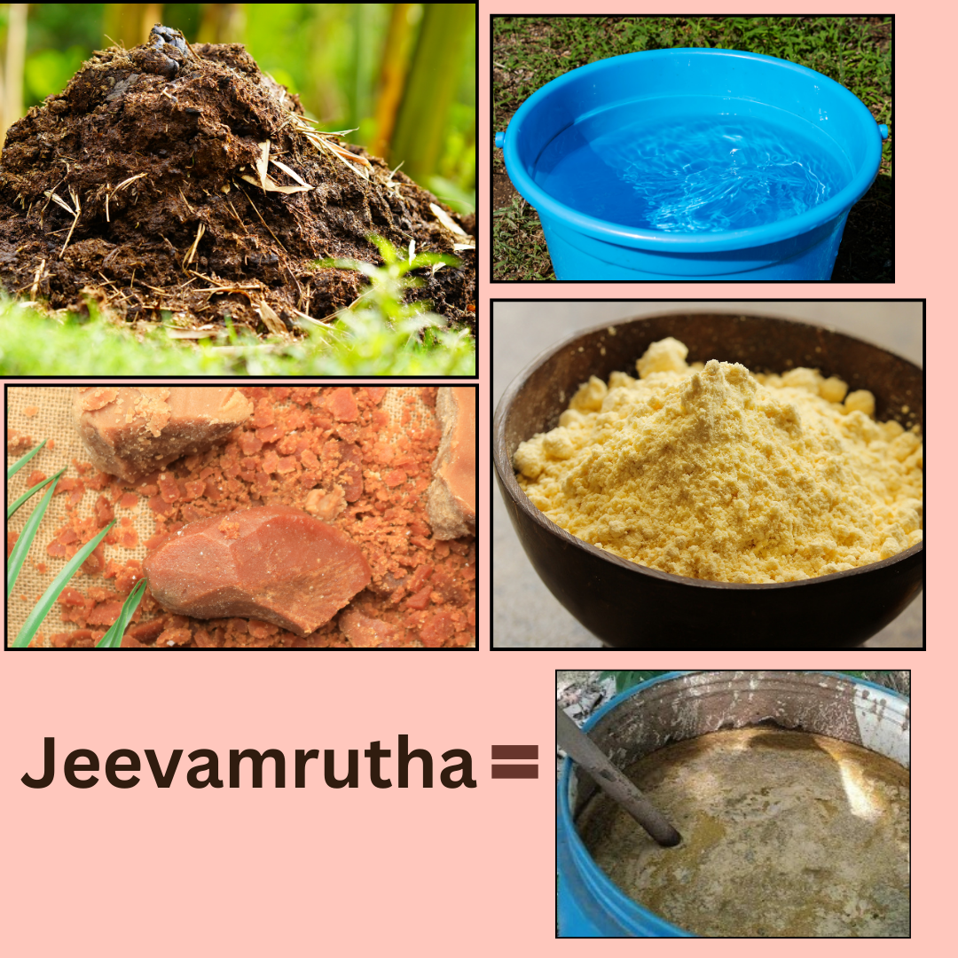 jeevamrutha