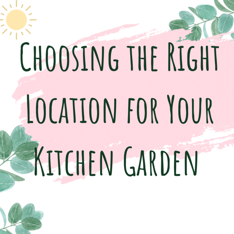 6 Ways to choose the right location for your kitchen garden