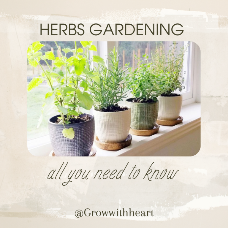 The joy of growing herbs: homegrown happiness
