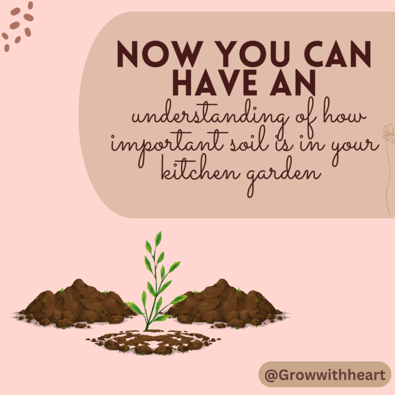 Introduction to easy kitchen garden soil preparation techniques