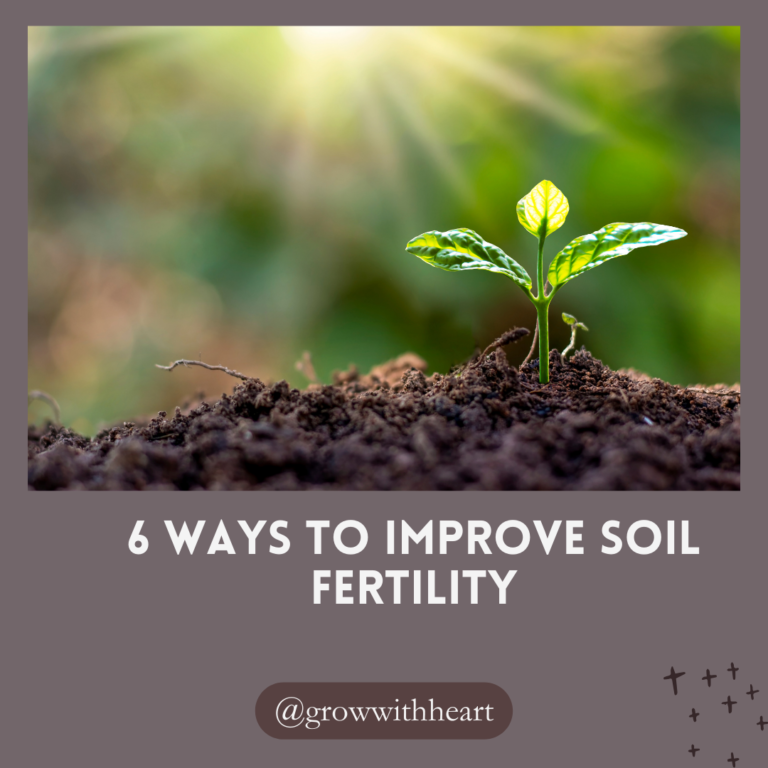 6 ways to improve soil fertility