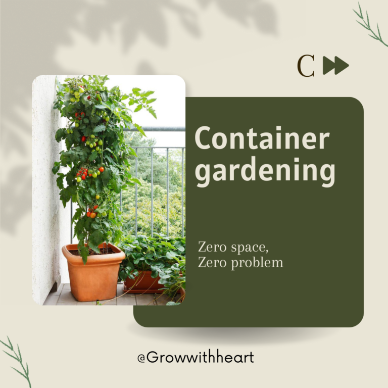Container gardening like a pro!