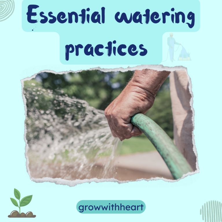 watering your kitchen garden in right way