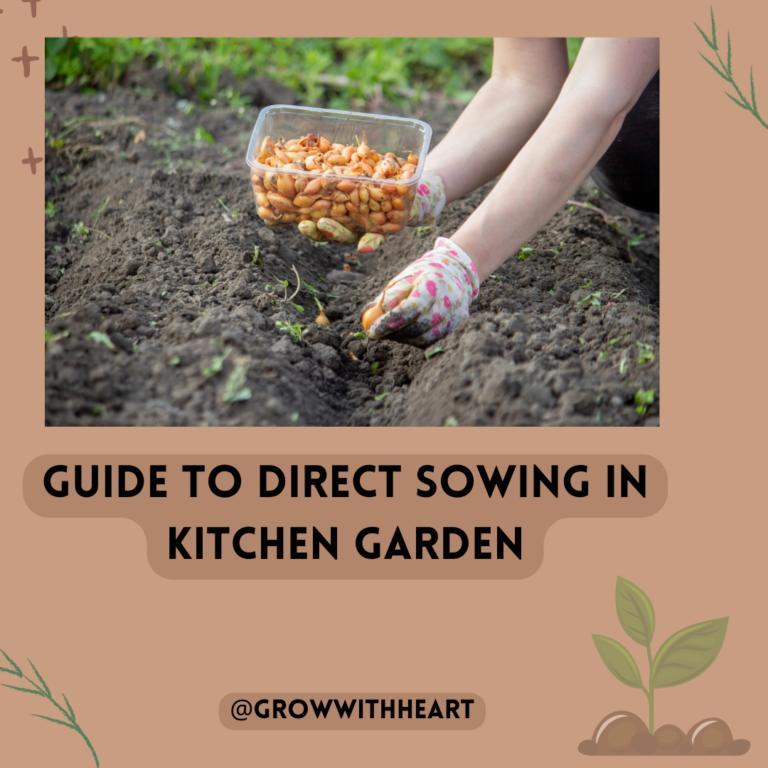 know this before directly sowing seeds in your kitchen garden