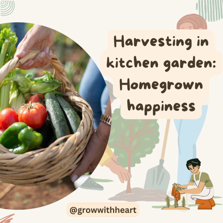 Harvesting in kitchen garden: Homegrown Happiness