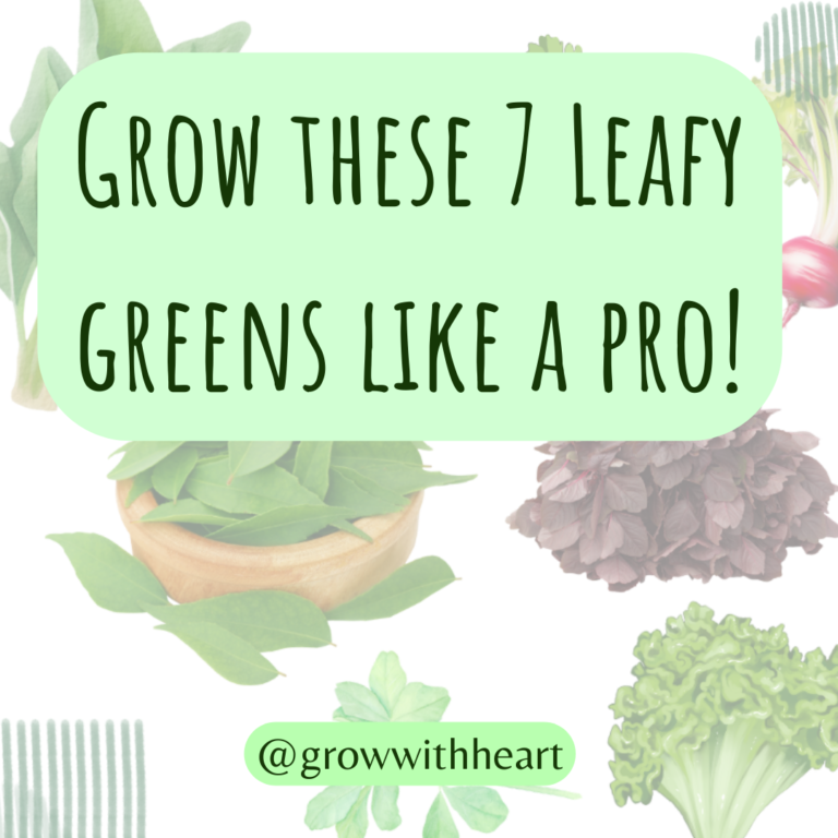 Grow these 7 Leafy greens like a pro!