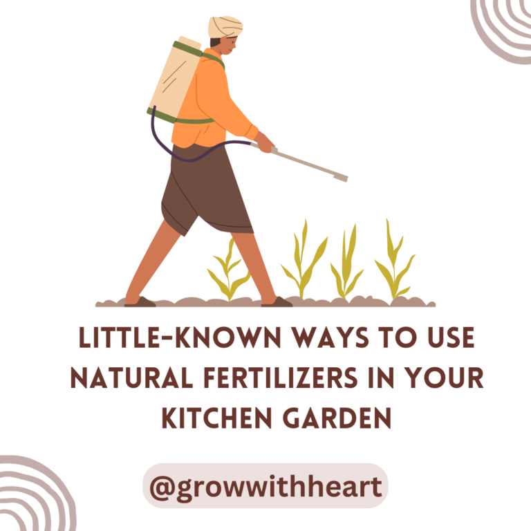 Little known ways to use natural fertilizers in your kitchen garden