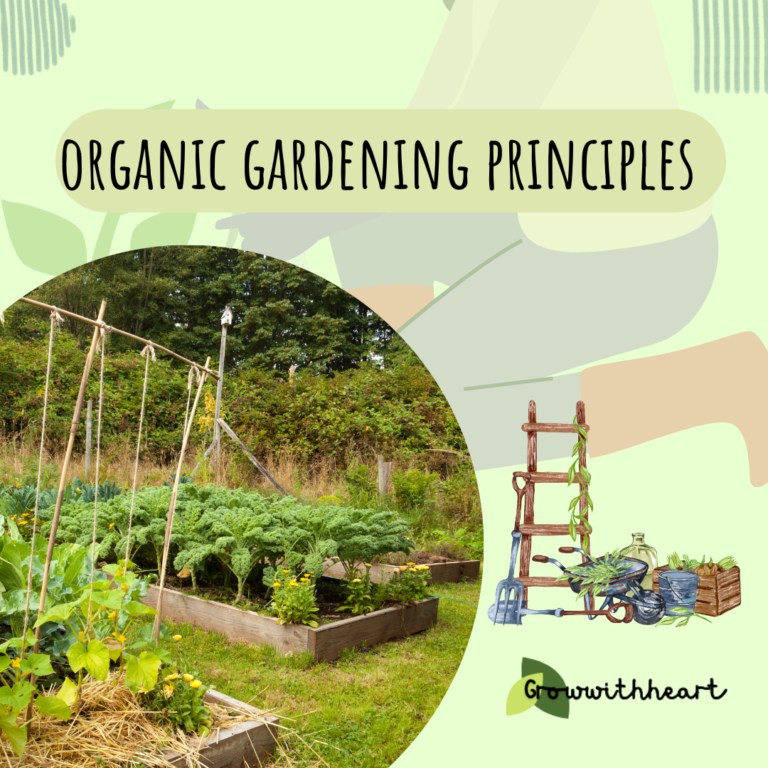 10 organic gardening principles you must know!