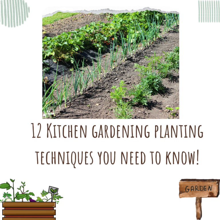 12 Kitchen gardening planting techniques you need to know!