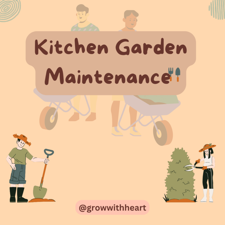 Here is how you need to maintain your kitchen garden!