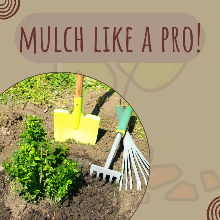 Mulch like a pro, with these Mulching techniques