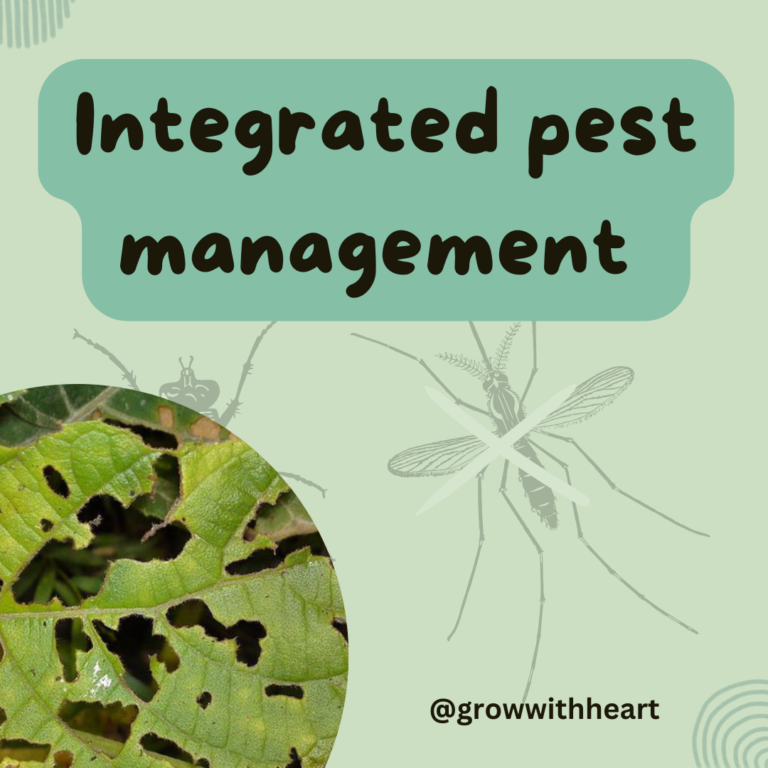 The secret of Pest control: Integrated Pest Management (IPM)