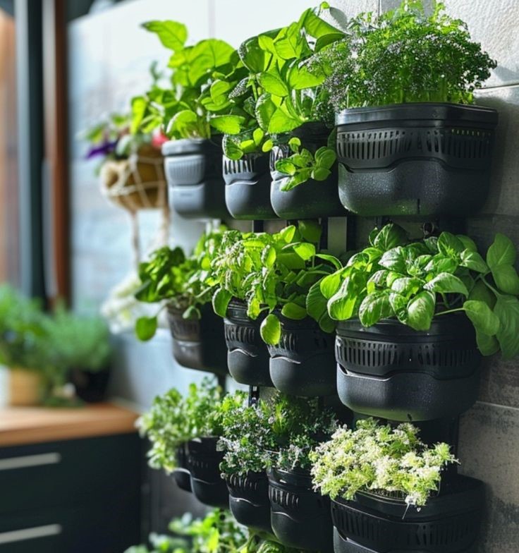 Vertical Gardening as a Sustainable Practice!