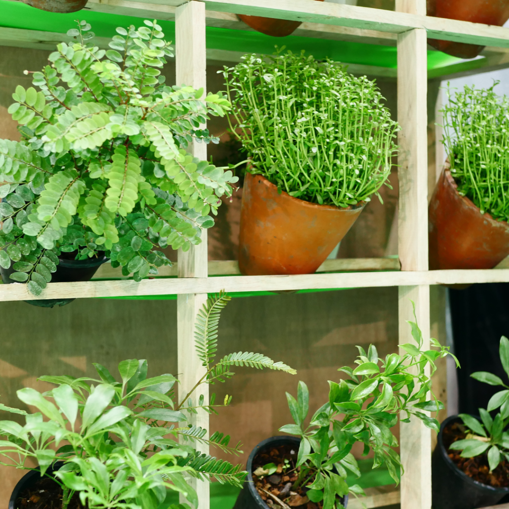 Choosing the right plants