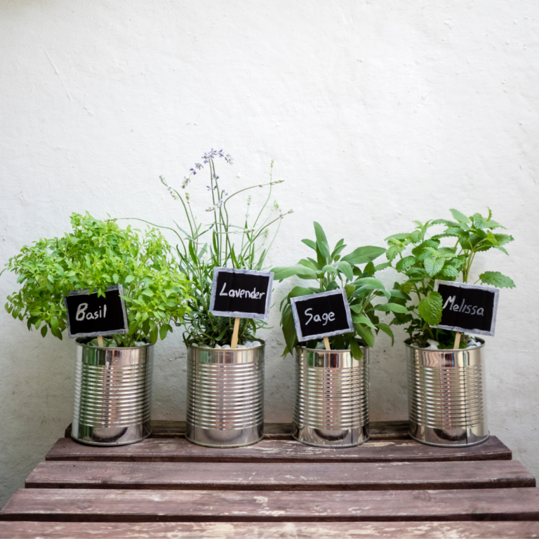 How to Create a Vertical Herb Garden for Your Kitchen!
