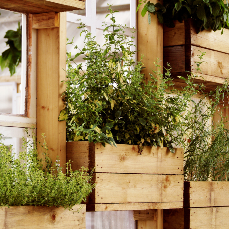 Right Mindset for vertical gardening: Patience, Creativity, and Consistency!