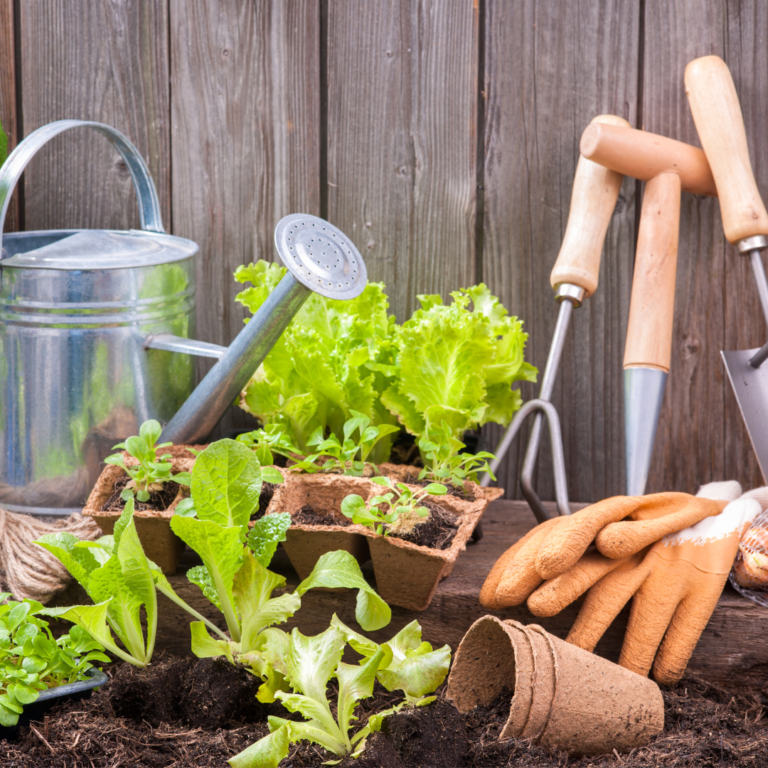 Time-Saving Hacks for Your Vertical Garden Maintenance!