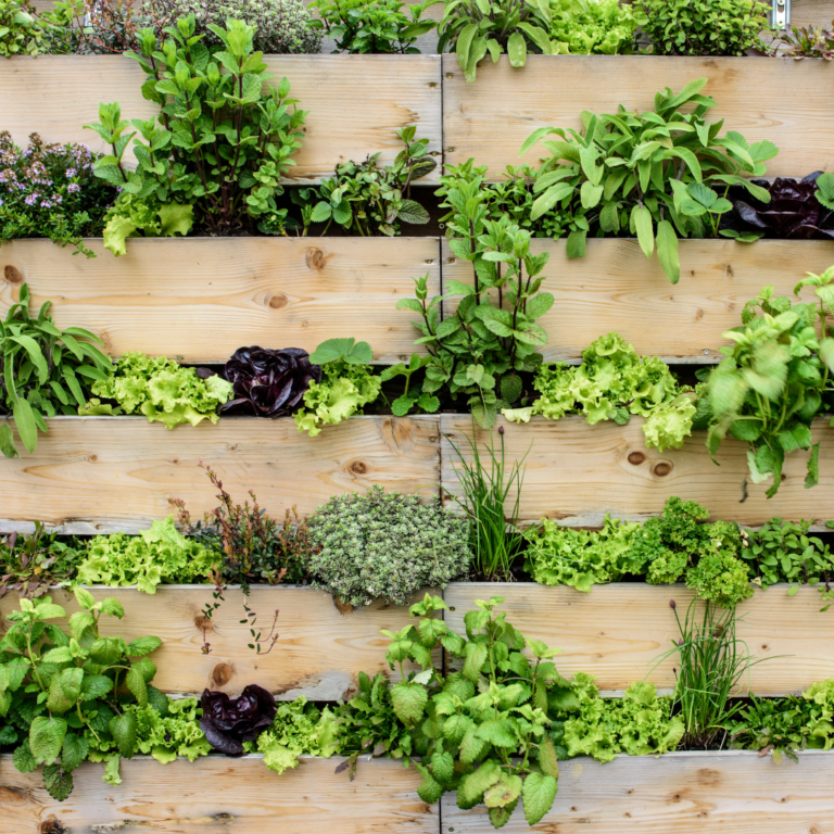 Why Vertical Gardening is the Future of Urban Farming