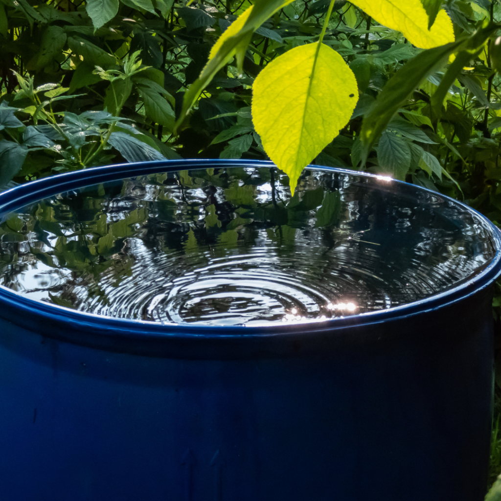 Rainwater Harvesting